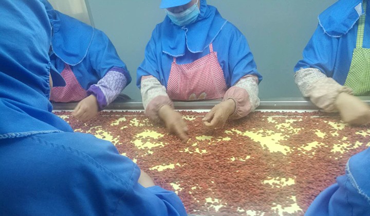 Organic Dried Goji Berries