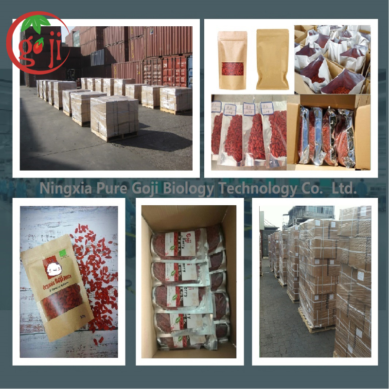EU Standard Low-Pesticide Goji Berry