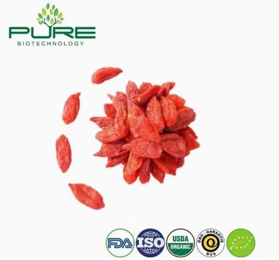 Goji Berry Large Size Wholesale Supplier China