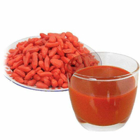 //irrorwxhlpiiln5p.ldycdn.com/cloud/pkBpiKmilpSRmljkpqnokm/NFC-Goji-juice.jpg