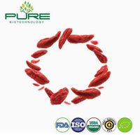 //irrorwxhlpiiln5p.ldycdn.com/cloud/pkBpiKmilpSRplilqlorkp/Organic-Goji-Berry-Bulk-Supplier-for-Food-Brands.jpg