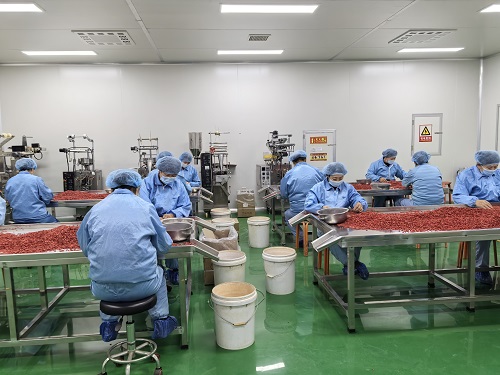 Organic Goji Berry Factory