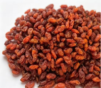 //irrorwxhlpiiln5p.ldycdn.com/cloud/poBpiKmilpSRmlnooprmkm/Organic-Dried-Goji-Berry-Manufacturer.jpg