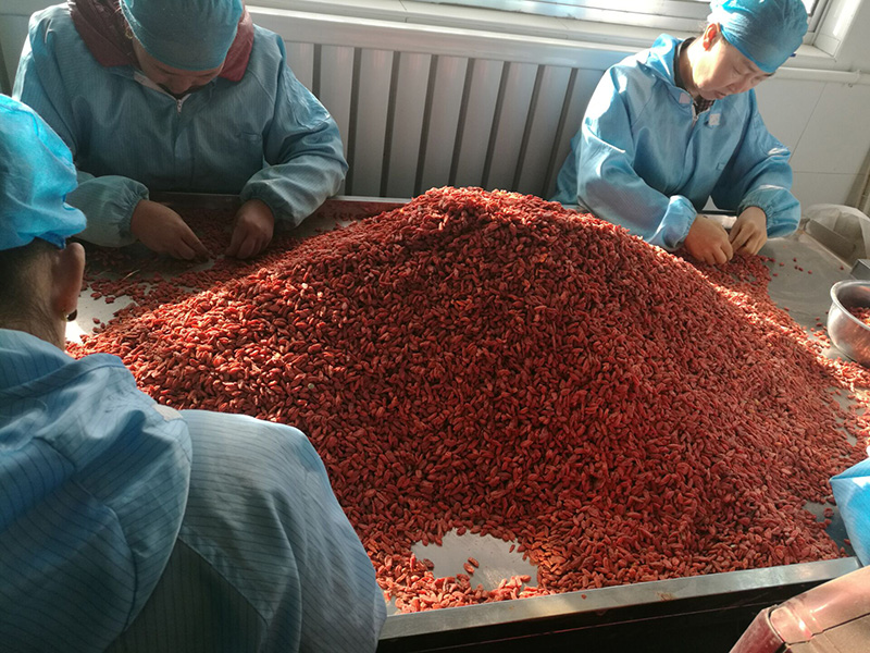 Organic Goji Berry Suppliers