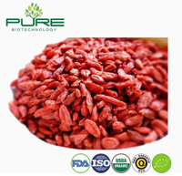 //irrorwxhlpiiln5p.ldycdn.com/cloud/poBpiKmilpSRplnjqnrokp/Goji-Berry-Suppliers.jpg