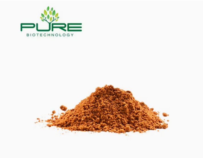 Goji Fruit Powder Supplier
