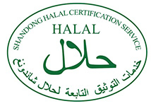 LOGO1